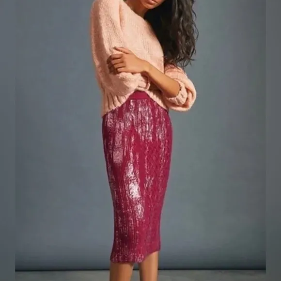 Anthropologie Rue Shimmer Sweater Knit Midi Skirt Size XS