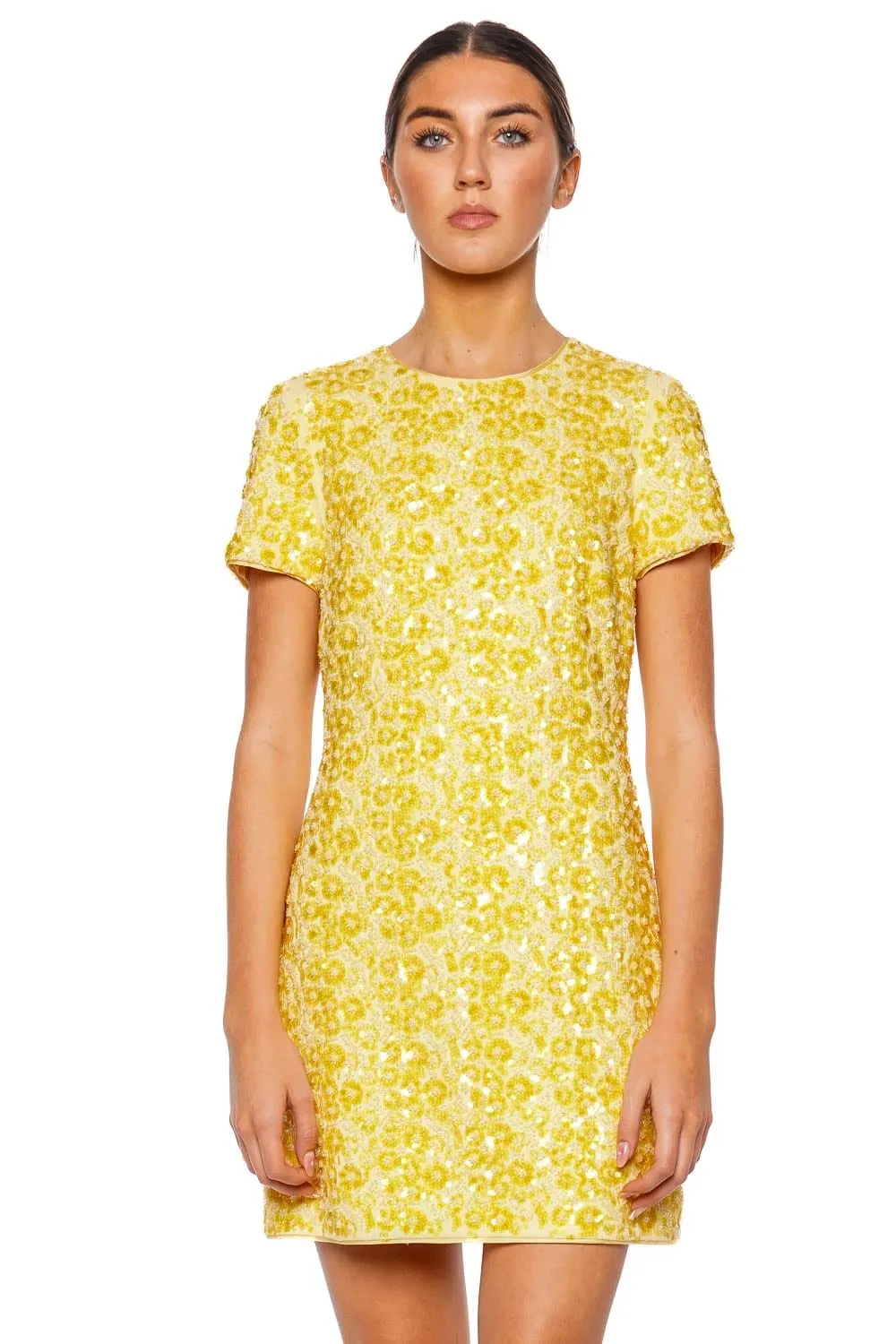Clove Beaded Short Sleeve Mini Dress