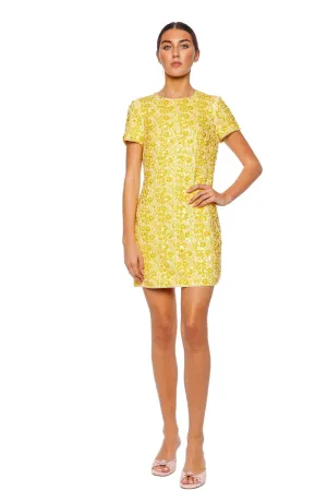 Clove Beaded Short Sleeve Mini Dress