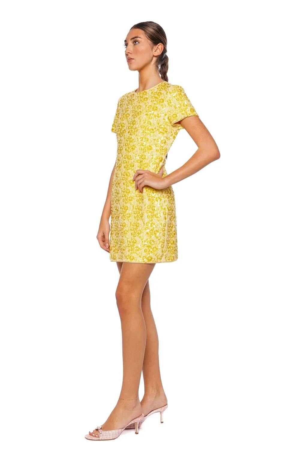 Clove Beaded Short Sleeve Mini Dress