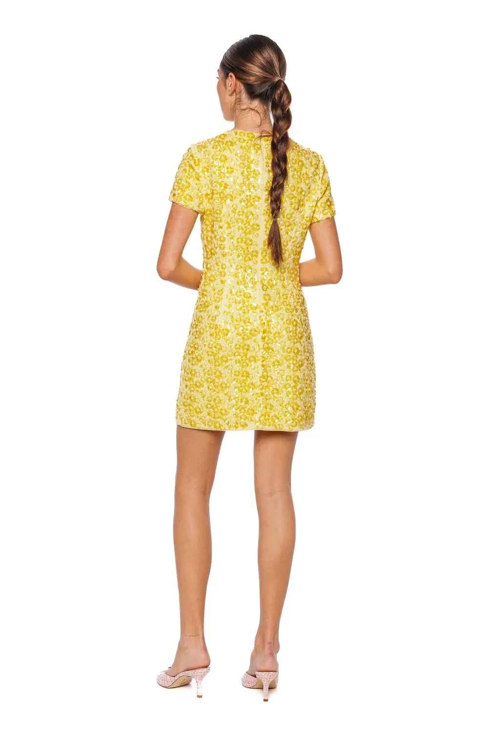 Clove Beaded Short Sleeve Mini Dress