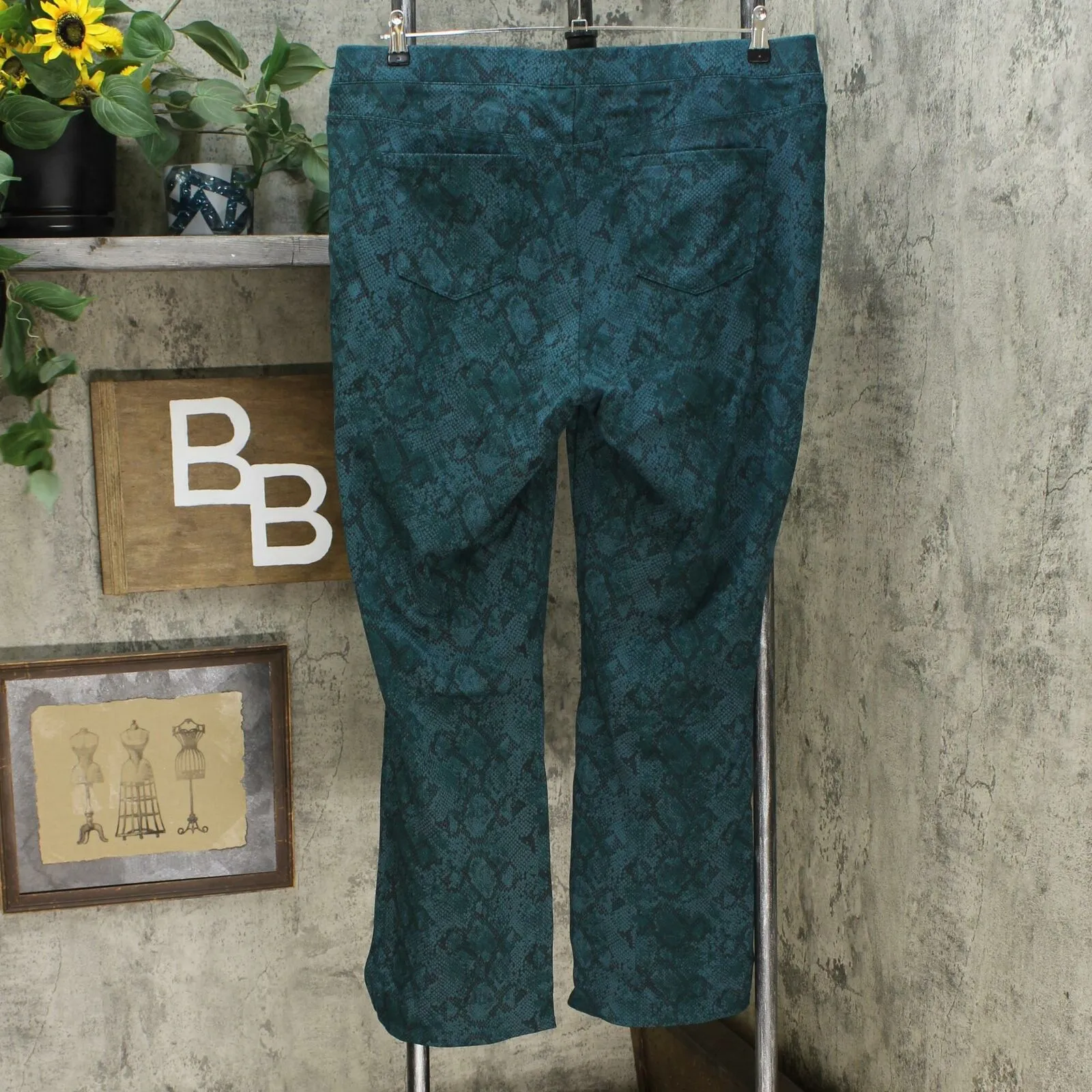 DG2 by Diane Gilman Pull On Stretch Ponte Boot Cut Pants Green Snake Plus 1X
