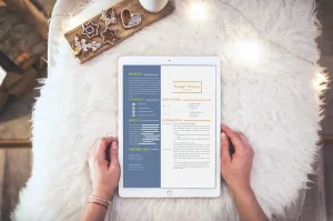 Financial Controller CV and Cover Letter Writing Service