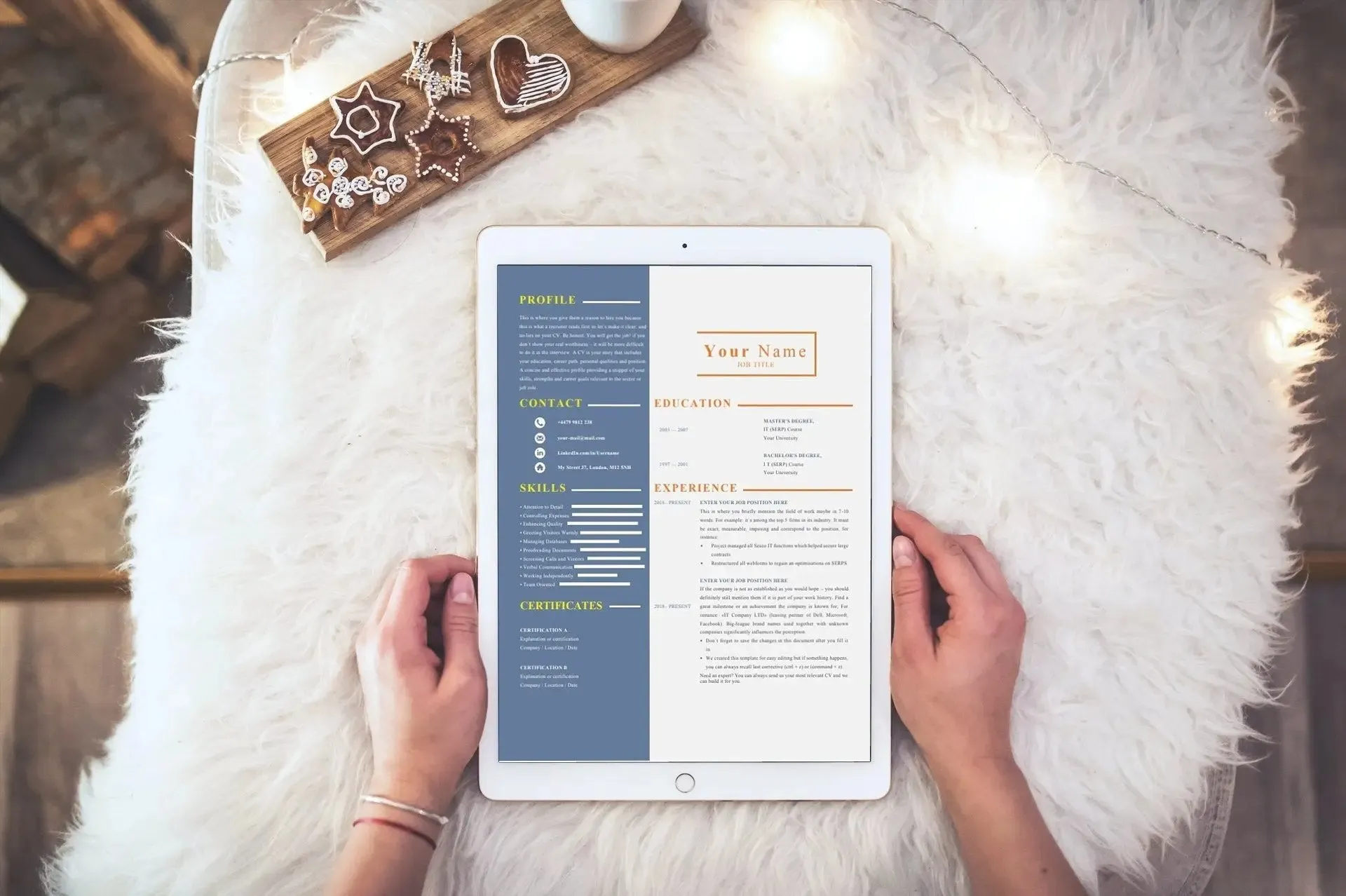Financial Controller CV and Cover Letter Writing Service