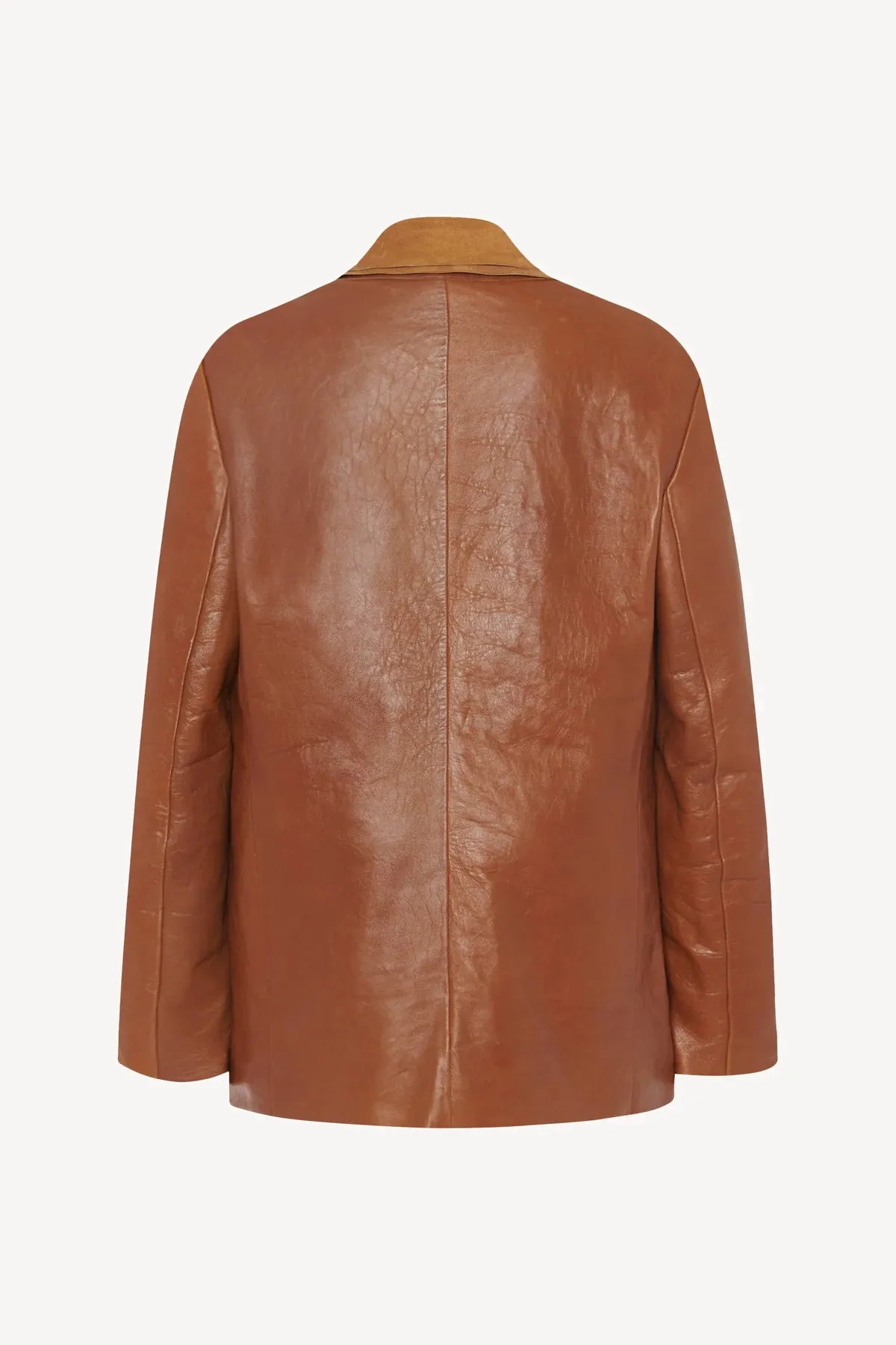 Lysandre Jacket in Leather