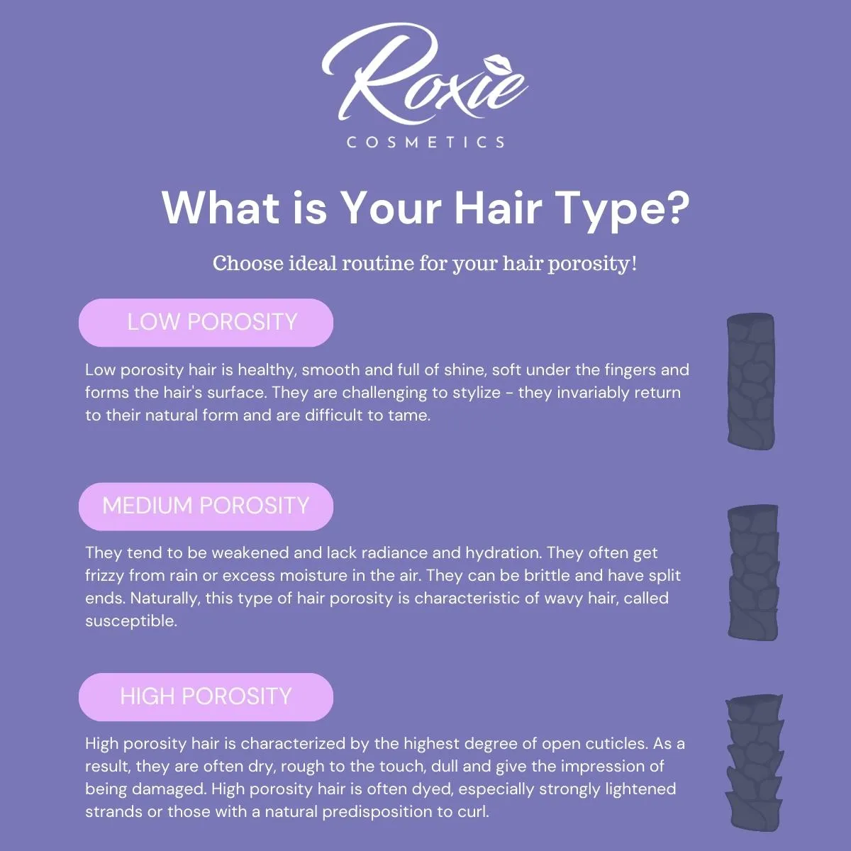 OnlyBio x Roxie ULTIMATE Bundle for High Porosity Hair   Hair Dryer