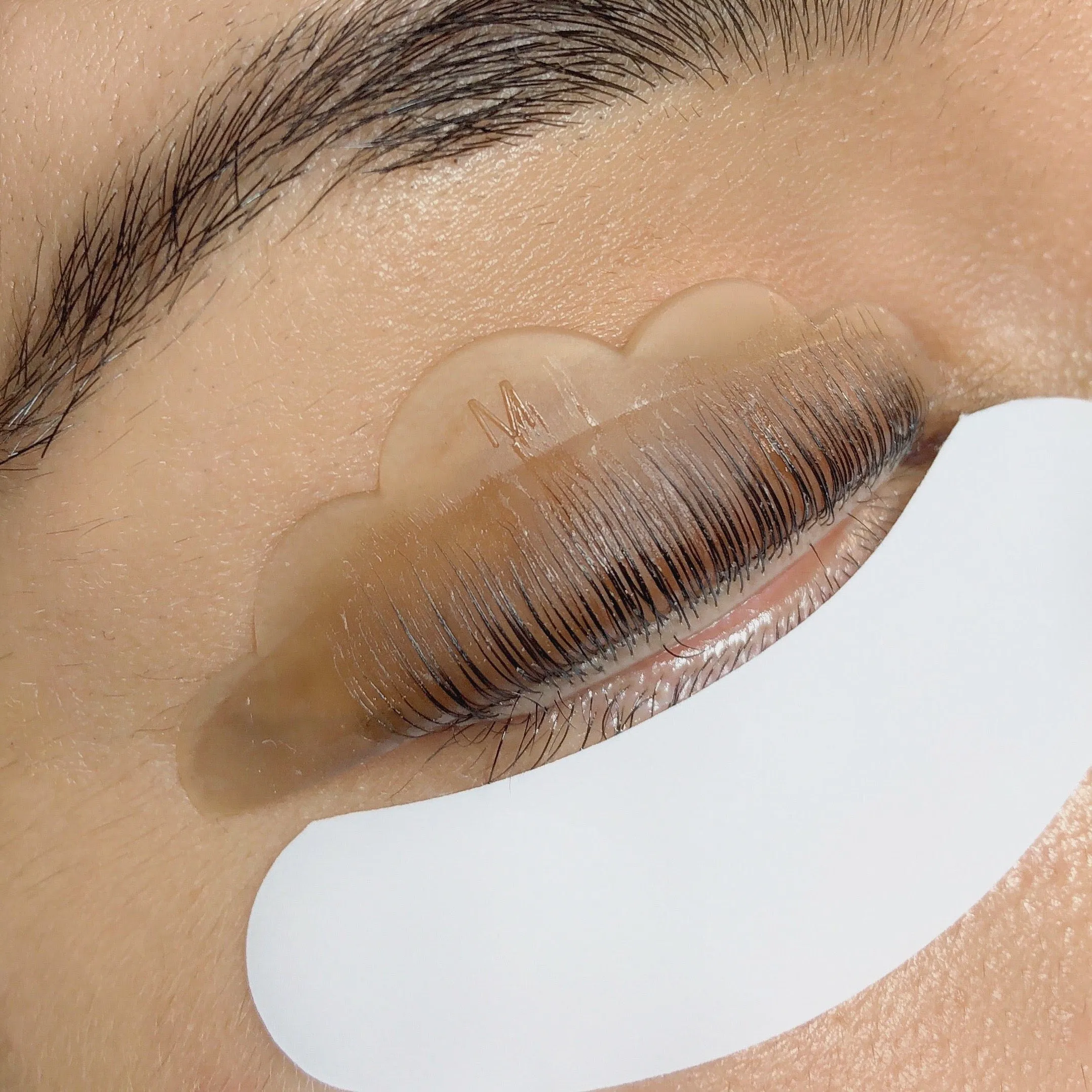 Professional Lash Lift Shields