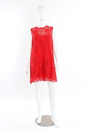 Scarlet Lace Mini Shift Dress