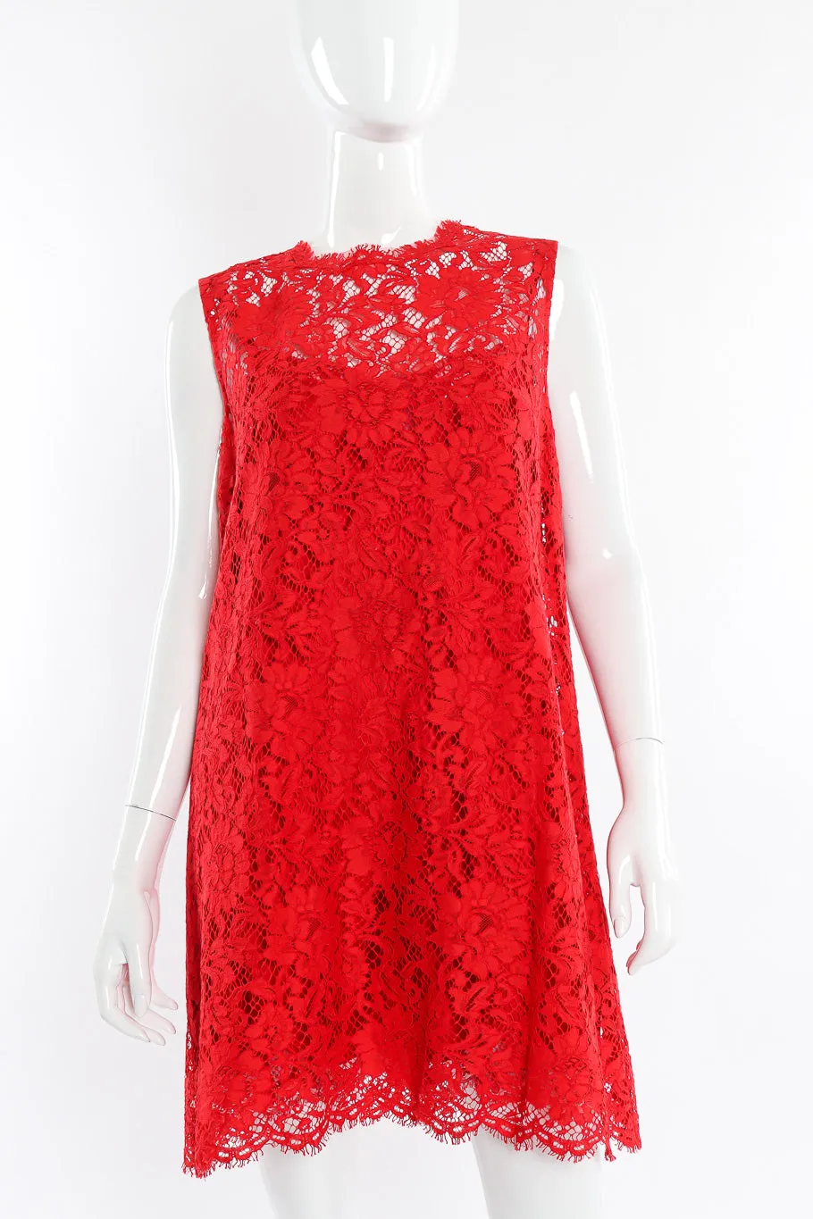 Scarlet Lace Mini Shift Dress