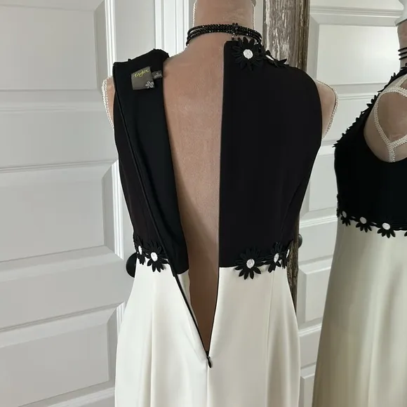 Taylor Black &amp; Ivory Color block Dress NWOT