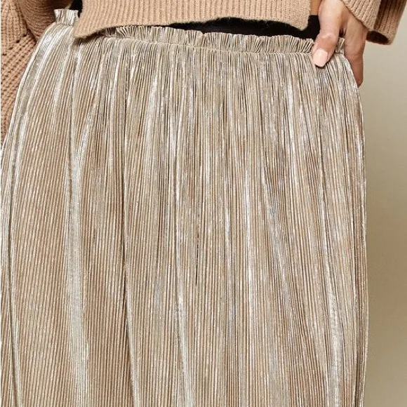 Women’s Plus Size Champaign Pleated Skirt.  Size 1XL-3XL. NEW!